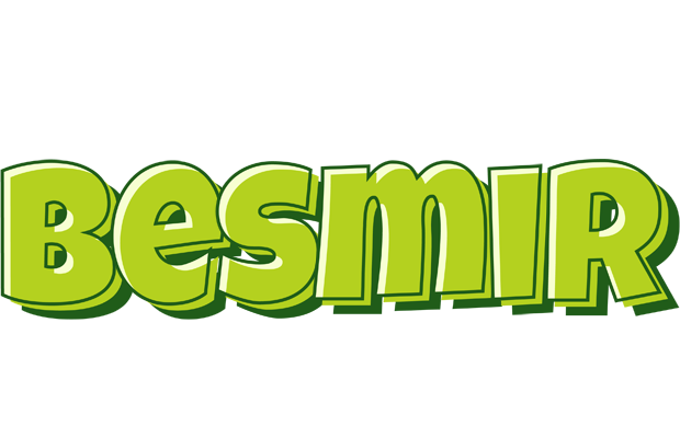 Besmir summer logo