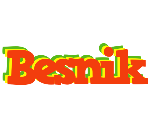 Besnik bbq logo