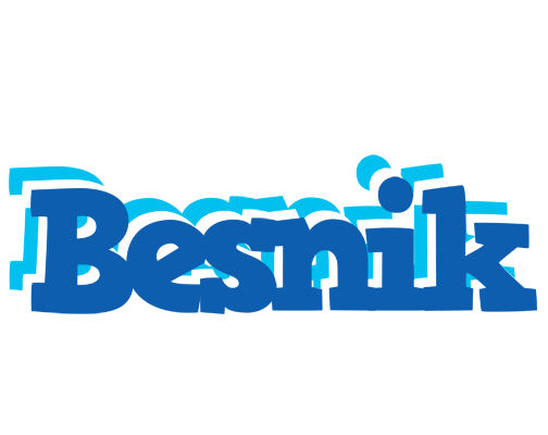Besnik business logo