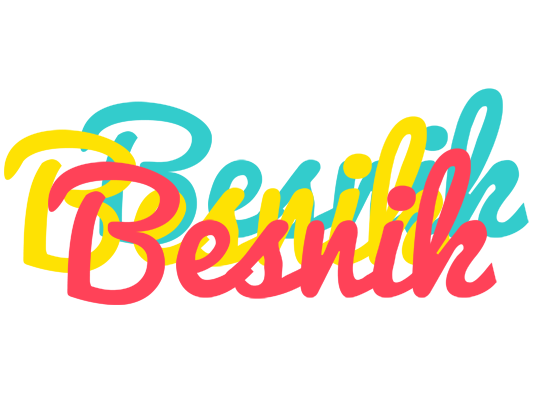 Besnik disco logo