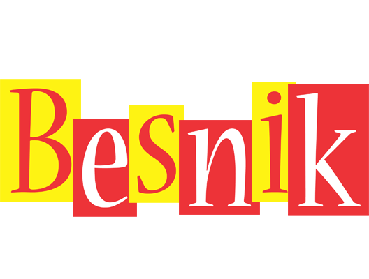 Besnik errors logo