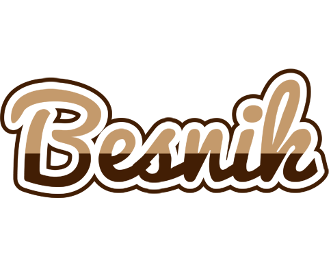 Besnik exclusive logo