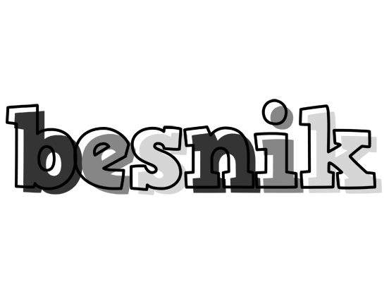 Besnik night logo