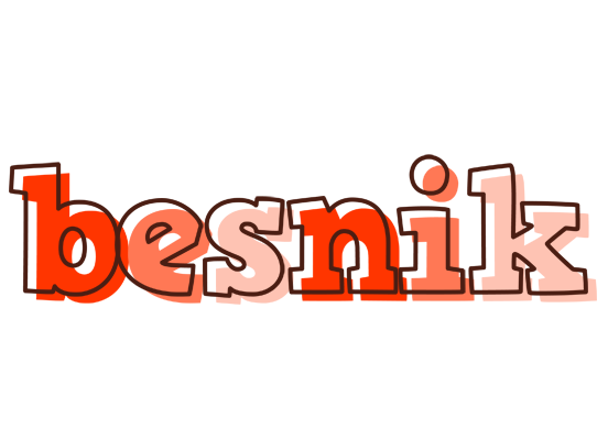 Besnik paint logo