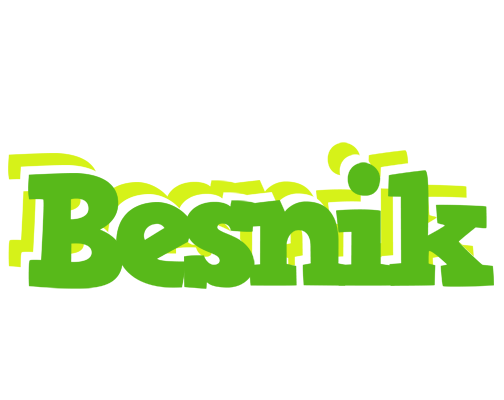 Besnik picnic logo