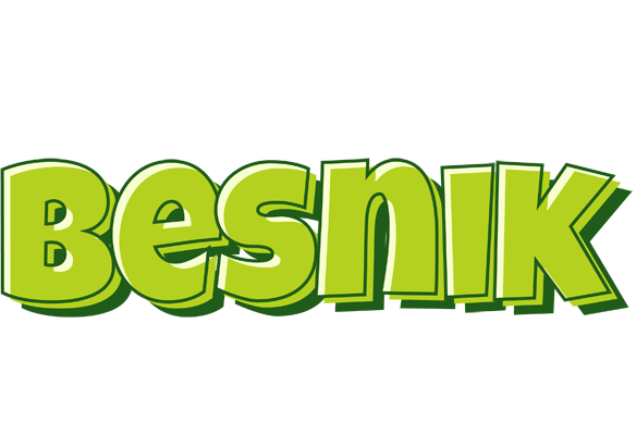 Besnik summer logo