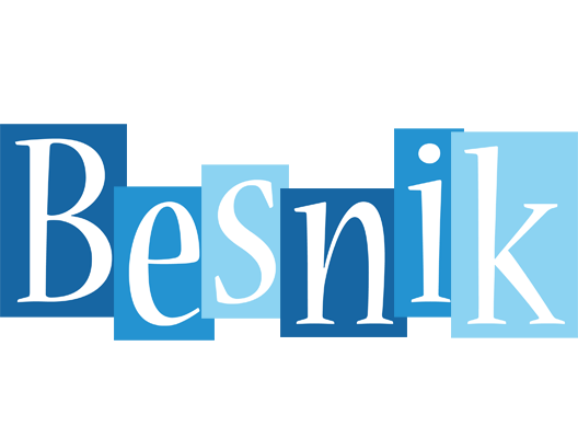 Besnik winter logo