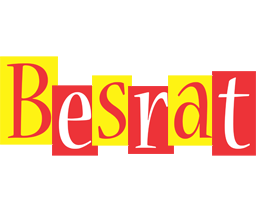 Besrat errors logo