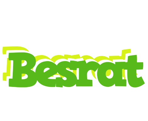Besrat picnic logo