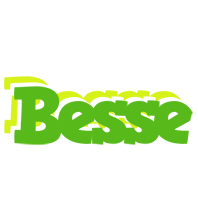 Besse picnic logo