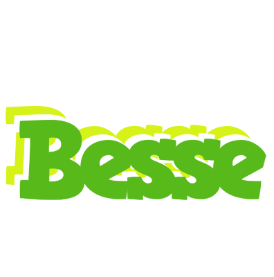 Besse picnic logo