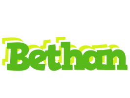 Bethan picnic logo
