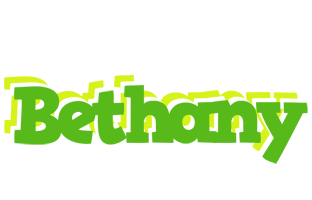 Bethany picnic logo