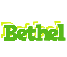 Bethel picnic logo