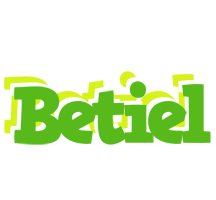 Betiel picnic logo