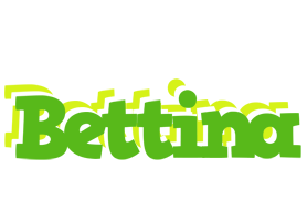 Bettina picnic logo