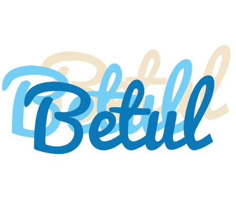Betul breeze logo