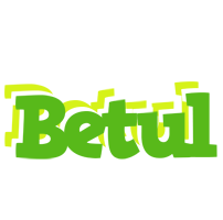 Betul picnic logo