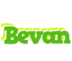 Bevan picnic logo