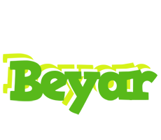 Beyar picnic logo