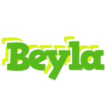 Beyla picnic logo