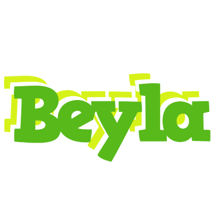 Beyla picnic logo
