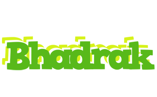 Bhadrak picnic logo
