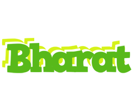 Bharat picnic logo