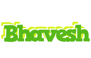 Bhavesh picnic logo