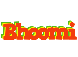 Bhoomi bbq logo
