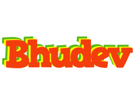 Bhudev bbq logo