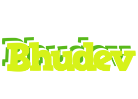 Bhudev citrus logo