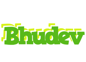 Bhudev picnic logo