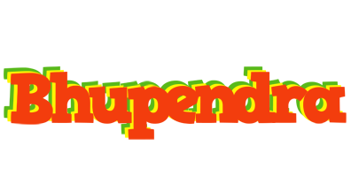 Bhupendra bbq logo