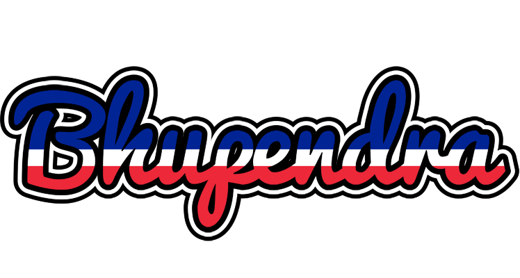 Bhupendra france logo
