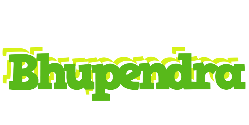 Bhupendra picnic logo