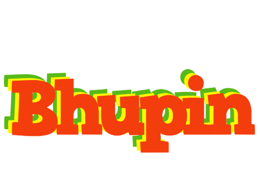 Bhupin bbq logo