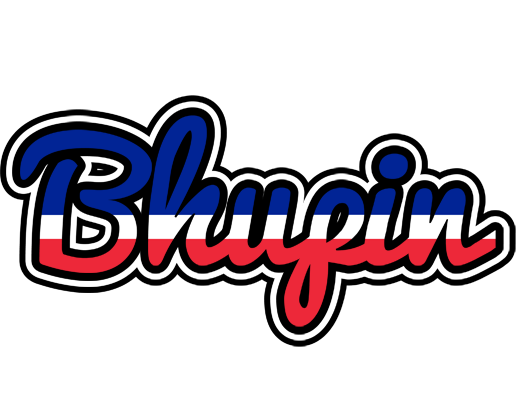 Bhupin france logo