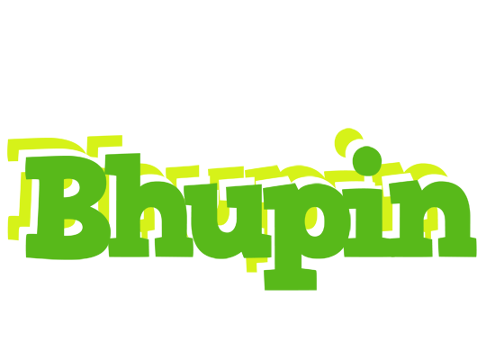 Bhupin picnic logo