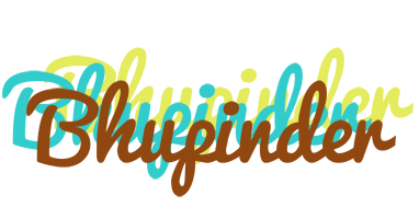 Bhupinder cupcake logo