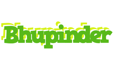 Bhupinder picnic logo