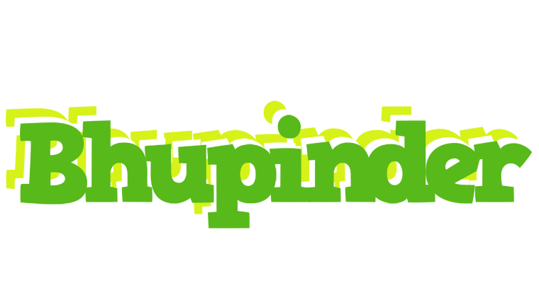 Bhupinder picnic logo