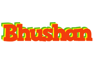 Bhushan bbq logo