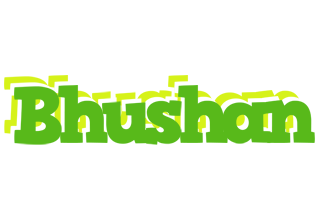 Bhushan picnic logo