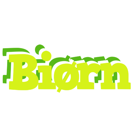 Biørn citrus logo