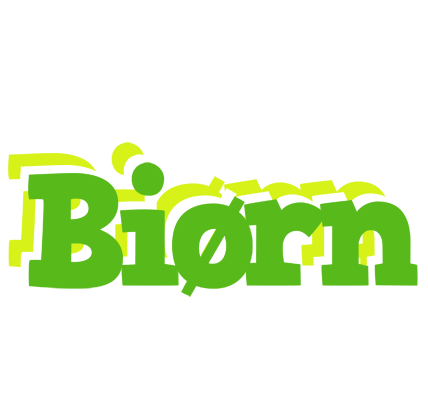 Biørn picnic logo
