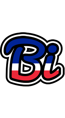 Bi france logo