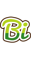 Bi golfing logo