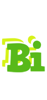 Bi picnic logo