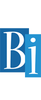 Bi winter logo